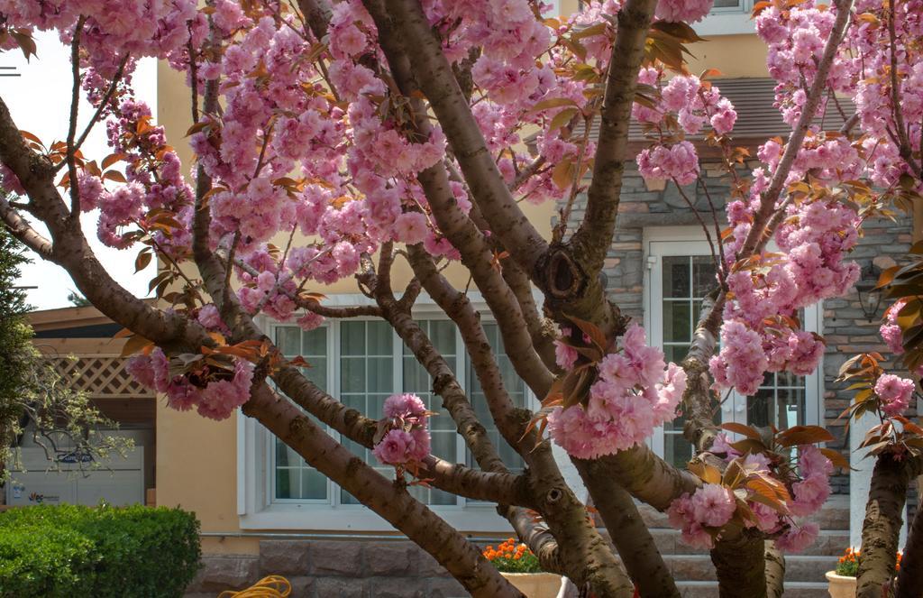 Villa Inn No.21 Seaside 青島市 エクステリア 写真